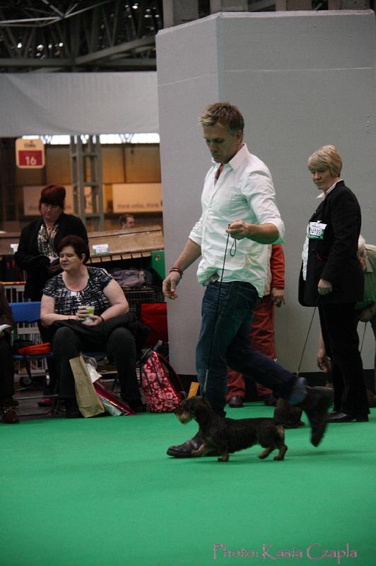 Crufts2011_2 1235.jpg